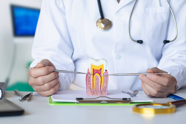 Best Orthodontic Emergency Dentist in Sturgis, MI